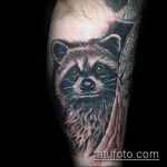 fénykép a mosómedve tetoválásról, 995. sz. - a kép hűvös változata, amely sikeresen használható egy mosómedve vázlatának feldolgozására és vállra történő felhelyezésére tetoválásként