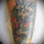 fénykép a mosómedve tetoválásról 936 sz. - a rajz méltó változata, amely sikeresen használható egy mosómedve vázlatának feldolgozására és felhelyezésére a vállán tetoválásként