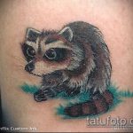 fénykép a mosómedve tetoválásról, 959. sz. - a minta hűvös változata, amely sikeresen használható egy mosómedve tetoválás átalakítására és felhelyezésére a vádlira fényképként