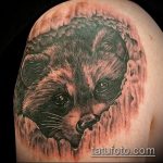 fénykép a mosómedve tetoválásról, 562. szám - a rajz hűvös változata, amely sikeresen használható felülvizsgálatra és alkalmazásra, mint egy mosómedve tetoválás képe a borjún