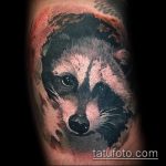 fénykép mosómedve tetoválás № 981 - a minta egyedi változata, amely könnyen használható felülvizsgálathoz és alkalmazáshoz, mint egy mosómedve tetoválás képe a borjún