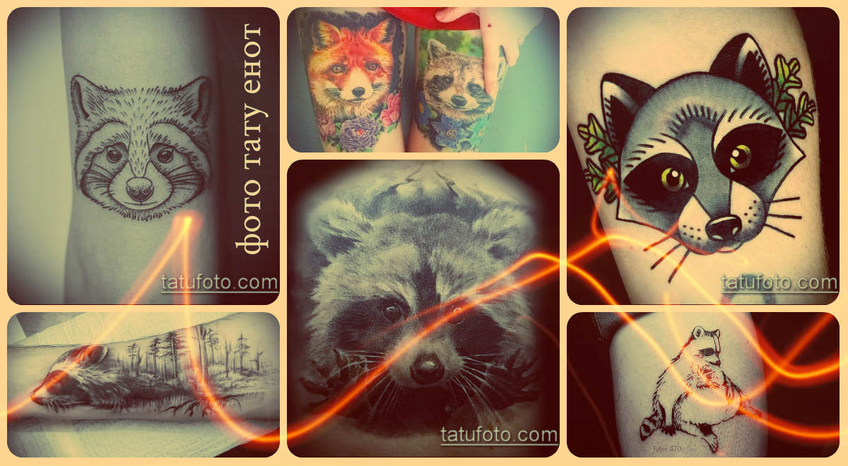 Fotó mosómedve tetoválásról - jó lehetőségek a kész tetoválások közül