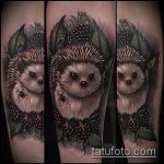 Egy egyedi példa a kész sün tetoválásra - a rajz alkalmas sün és mackó tetováláshoz