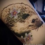 A meglévő sündisznó tetoválás egyedülálló példája - a rajz alkalmas sündisznó tetoválására a gyomorban