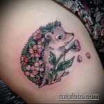 Egy remek példa a sündisznó tetoválására - a rajz alkalmas a karon lévő sündisznó tetoválására