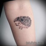 A kivitelezett sündisznó egyedi változata - a rajz alkalmas sündisznó tetoválására pitypanggal