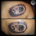 Hűvös példa a sündisznó tetoválására - a rajz alkalmas sündisznó tetoválására a gyomorban