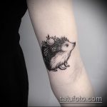 Az elkészített sündisznó tetoválás hűvös változata - a rajz alkalmas sünhez és medve tetováláshoz