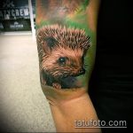 A meglévő sündisznó tetoválás hűvös változata - a rajz alkalmas sonkás sündisznó tetováláshoz