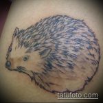 Az alkalmazott sündisznó tetoválás egyedi változata - a rajz alkalmas sündisznó tetoválásra a csuklón