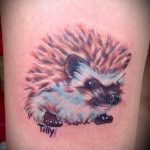 Egy meglévő sündisznó tetoválás tesztpéldája - a rajz alkalmas sündisznó tetováláshoz szemüveggel