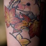 A meglévő tetovált sündisznó eredeti változata - a rajz alkalmas gumis sün tetoválásra