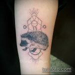 Egy remek példa egy alkalmazott tetovált sündisznóra - a rajz alkalmas egy sündisznó tetoválására a karon