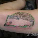 Egy teszt példa egy kész sün tetoválásra - a rajz alkalmas gumis sün tetoválásra