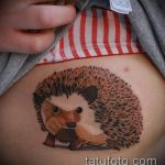 A tetovált sündisznó eredeti változata - a rajz alkalmas a sonikai sündisznó tetoválására