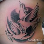 fotó a galamb tetoválásról # 637 - a minta exkluzív változata, amely sikeresen használható feldolgozásra és tetoválásként történő alkalmazásra a galamb mellkasán