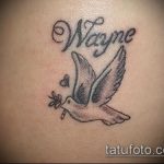 fotó a galamb tetoválásról # 448 - a minta exkluzív változata, amely jól használható felülvizsgálatra és három galamb tetoválásként történő alkalmazására