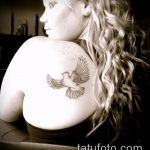 fotó a galamb tetoválásról # 995 - a minta exkluzív változata, amely sikeresen használható változtatásra és tetoválásként egy keresztes galamb alkalmazására