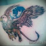 fotó a griff tetoválásról, 331. szám - a minta exkluzív változata, amely könnyen használható a griff tetováláshoz a hátoldalon