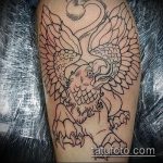 fotó a 348 -as számú tetováló griffről - a minta egyedi változata, amely jól használható változtatásra és tetoválás griffként történő alkalmazására az egész hátán