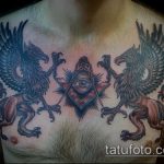 fotó a 192 -es griff tetoválásról - a minta exkluzív változata, amely könnyen használható a feldolgozáshoz és a tetováláshoz grifffejként