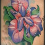 Az írisz tetoválás eredeti példánya - a rajz alkalmas tetováló írisz akvarellre