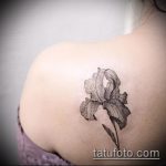 A meglévő írisz tetoválás érdekes változata - a rajz alkalmas írisz tetováláshoz a vállán