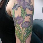 A kivitelezett írisz tetoválás tesztverziója - a rajz alkalmas íriszvirág tetoválására