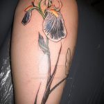 Az alkalmazott tetováló írisz hűvös változata - a rajz alkalmas írisz tetoválására a karon