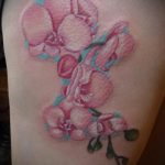 Az írisz tetoválás érdekes példája - a rajz alkalmas a lapocka írisz tetoválására