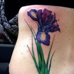 A kivitelezett tetováló írisz hűvös változata - a rajz alkalmas tetováló írisz akvarellre