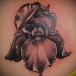 Érdekes példa a kész írisz tetoválásra - a rajz alkalmas írisz tetováláshoz a csuklón