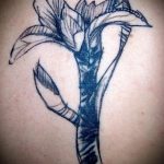 Egy remek példa az írisz tetoválására - a rajz alkalmas a hátán lévő írisz tetoválásra