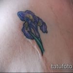 A kész írisz tetoválás hűvös változata - a rajz alkalmas fekete írisz tetováláshoz