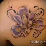 A kivitelezett írisz tetoválás hűvös változata - a rajz alkalmas írisz tetováláshoz a lapockán