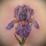 A kész írisz tetoválás egyedülálló példája - a rajz alkalmas írisz tetoválásra a vállán