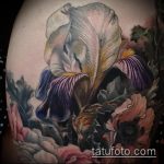 Jó példa az írisz tetoválására - a rajz alkalmas írisz tetováláshoz a zónán