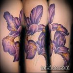 Jó példa egy meglévő írisz tetoválásra - a rajz alkalmas a hátán lévő írisz tetováláshoz