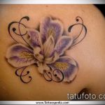 Az alkalmazott írisz tetoválás érdekes változata - a rajz alkalmas írisz tetováláshoz a zónán