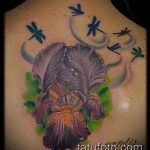 A kész írisz tetoválás eredeti változata - a rajz alkalmas a hátsó írisz tetoválására