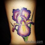 A kész írisz tetoválás eredeti változata - a rajz alkalmas az írisz tetováláshoz bw