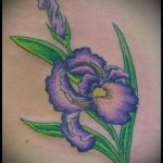 A kivitelezett írisz tetoválás hűvös változata - a rajz alkalmas írisz tetováláshoz a csuklón