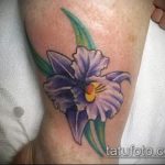 A kész írisz tetoválás tesztpéldája - a rajz alkalmas tetováló írisz akvarellre