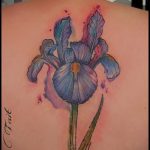 A kivitelezett írisz tetoválás egyedi változata - a rajz alkalmas a lapocka írisz tetoválására