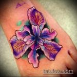 Az alkalmazott tetováló írisz tesztverziója - a rajz alkalmas tetováló írisz akvarellre