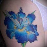 Egy remek példa egy írisz tetoválásra - a rajz alkalmas a hátán lévő írisz tetoválásra