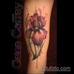 Egy teszt példa egy kész írisz tetoválásra - a rajz alkalmas írisz tetováláshoz a zónán