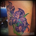 Az alkalmazott írisz tetoválás hűvös változata - a rajz alkalmas a hátán lévő írisz tetováláshoz