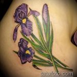 Az alkalmazott tetováló írisz hűvös változata - a rajz alkalmas tetováló írisz akvarellhez