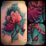 A kész írisz tetoválás egyedülálló példája - a rajz alkalmas írisz tetováláshoz a karon